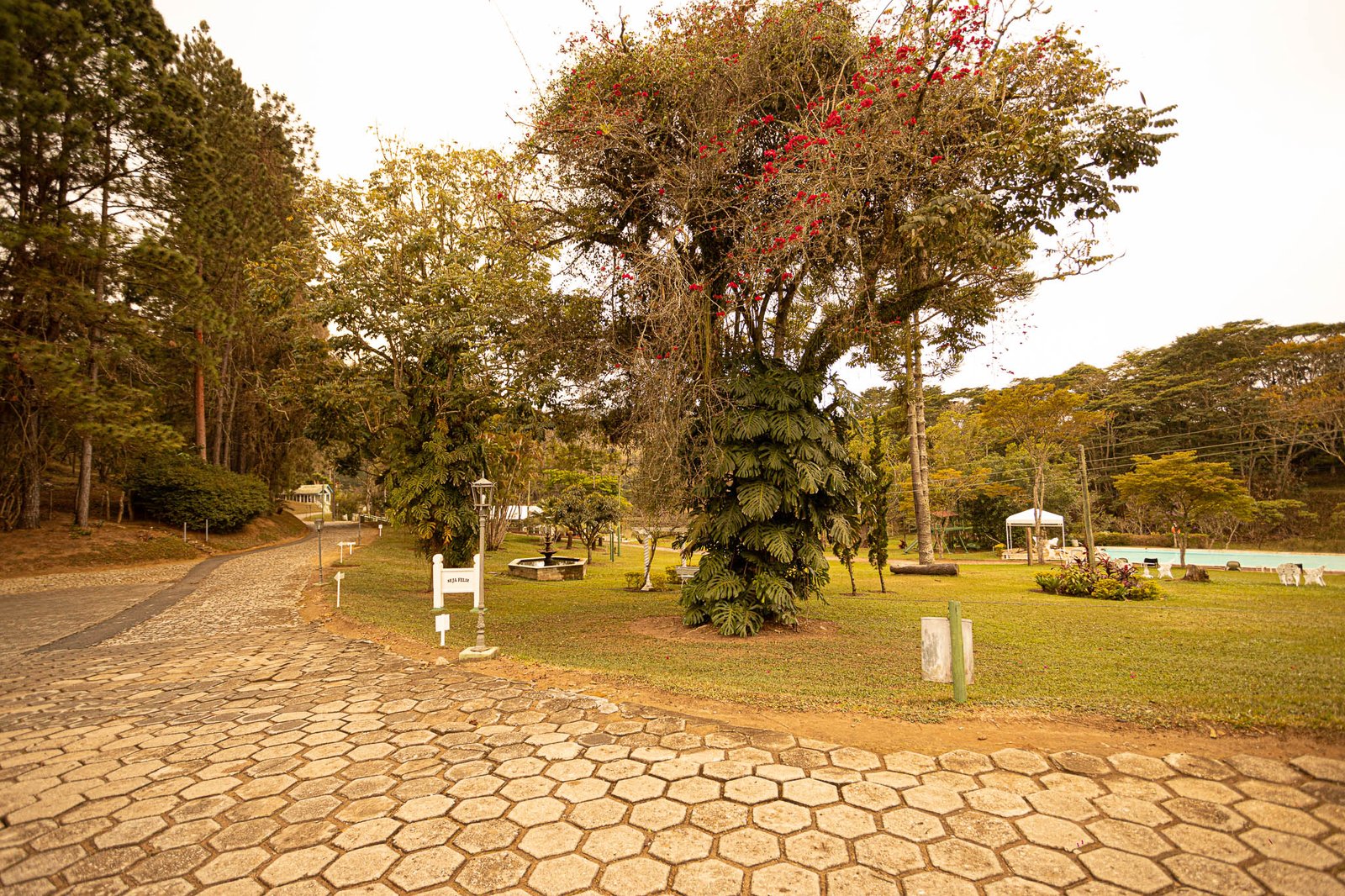 Área verde Park Hotel Mantiqueira